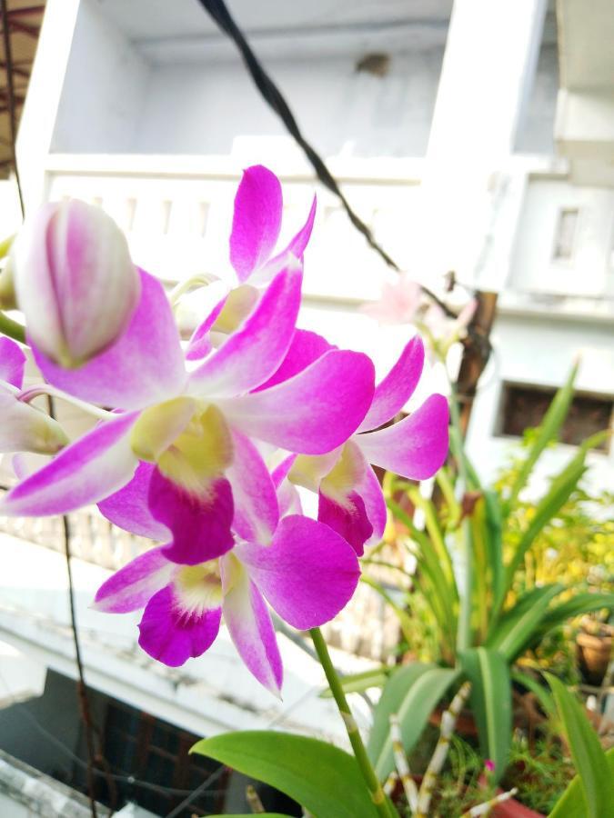 Heather Home Stay Kochi Dış mekan fotoğraf