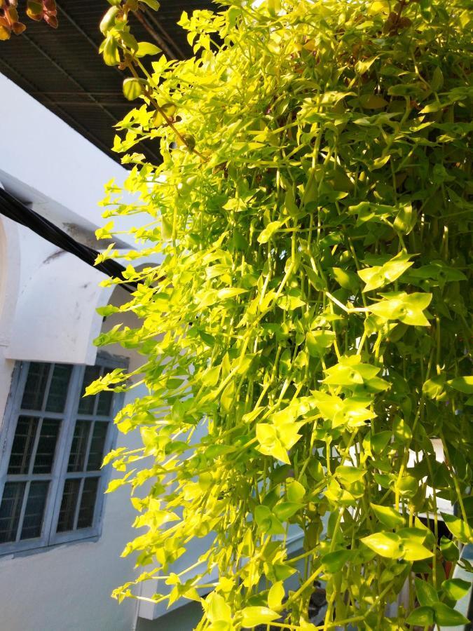 Heather Home Stay Kochi Dış mekan fotoğraf